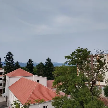 Apartment Stan Na Dan Parovic *